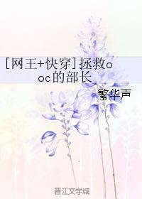 [Net King+Quick Travel] Save the Minister of OOC