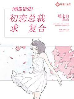 Wrong Love on the Way to Marriage: The CEO of First Love Seeks to Get Back Together